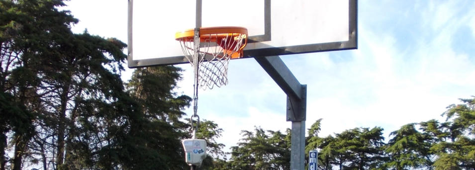 sportlusa-teste-basquetebol